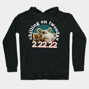 Chilling on twosday / 22222 / pet lover gift idea Hoodie